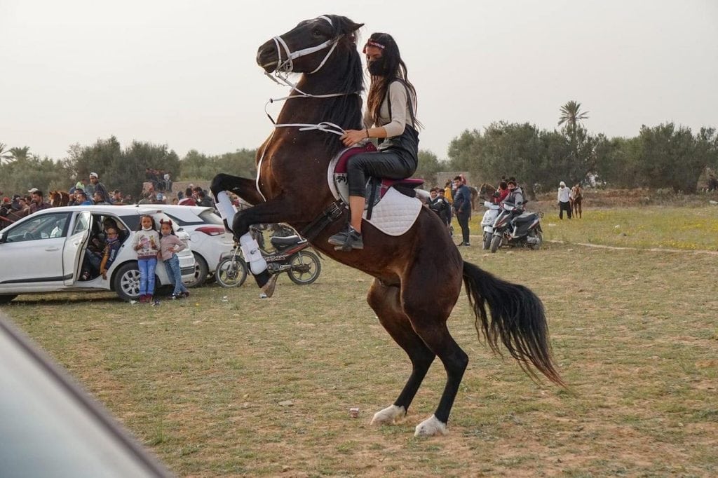 Equitation - Avec ses huits chevaux, Benslama est imbattable