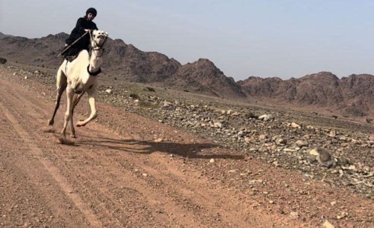  السعودية: ريما الحربي..من المدينة المنورة إلى العالمية في سباقات الهجن‎‎